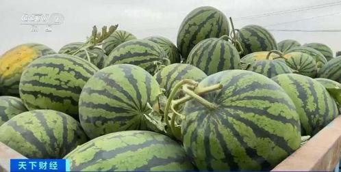 五一吃瓜全网最快的吃瓜平台  第3张