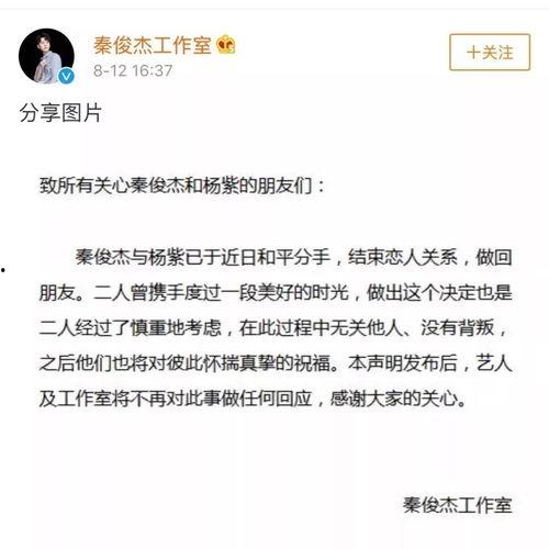 娱乐圈吃瓜双人解说文案,揭秘明星背后的故事与真相  第2张